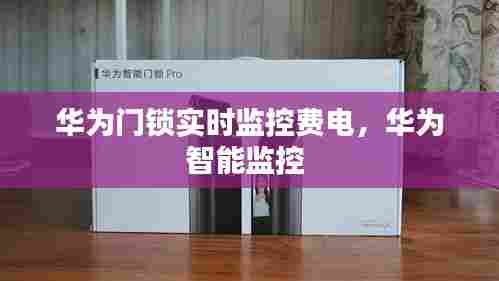 华为门锁实时监控费电，华为智能监控 