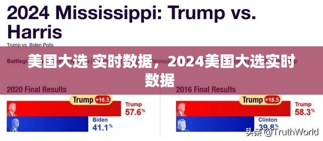 美国大选 实时数据,2024美国大选实时数据
