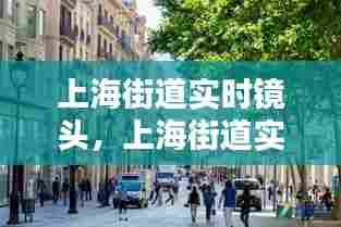 上海街道实时镜头,上海街道实景