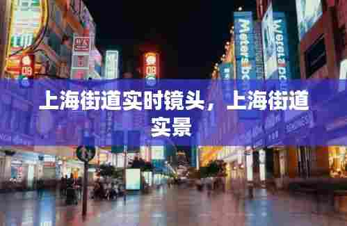 上海街道实时镜头,上海街道实景