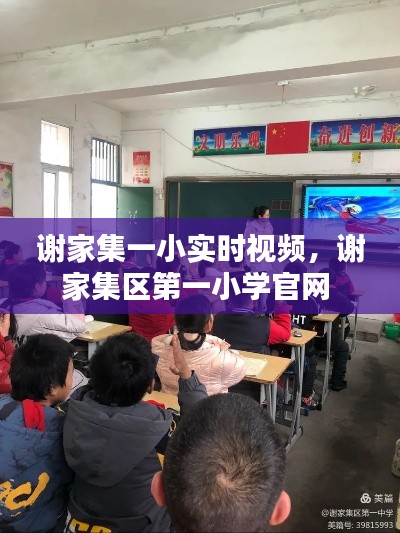 谢家集一小实时视频,谢家集区第一小学官网