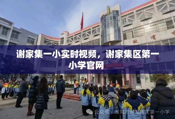 谢家集一小实时视频,谢家集区第一小学官网