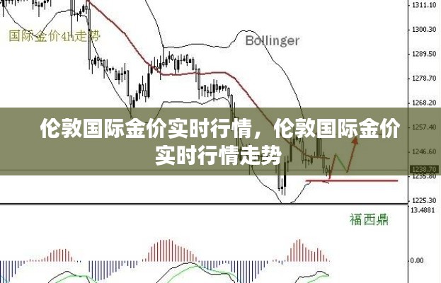 伦敦国际金价实时行情,伦敦国际金价实时行情走势