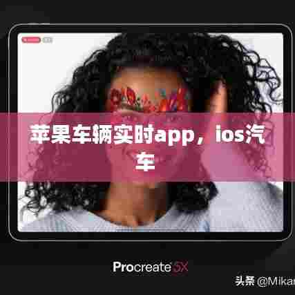 苹果车辆实时app,ios汽车