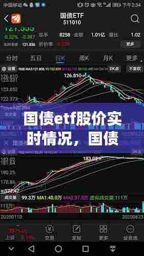 国债etf股价实时情况,国债指数行情