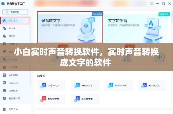 小白实时声音转换软件，实时声音转换成文字的软件 
