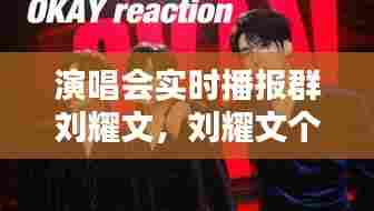 演唱会实时播报群刘耀文，刘耀文个人演唱会 