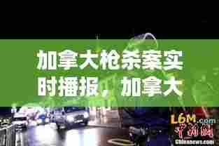 加拿大枪杀案实时播报,加拿大枪击案致十余人死亡