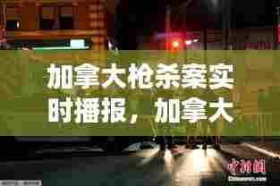 加拿大枪杀案实时播报,加拿大枪击案致十余人死亡