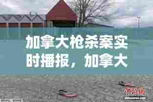 加拿大枪杀案实时播报,加拿大枪击案致十余人死亡