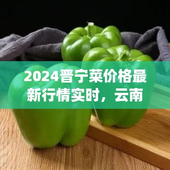2024晋宁菜价格最新行情实时,云南晋宁蔬菜每日报价