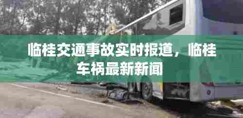 临桂交通事故实时报道,临桂车祸最新新闻