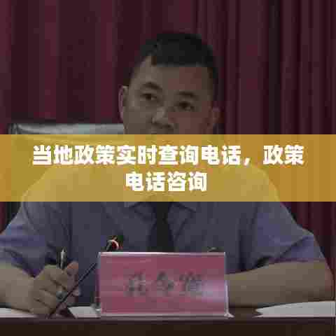当地政策实时查询电话,政策电话咨询