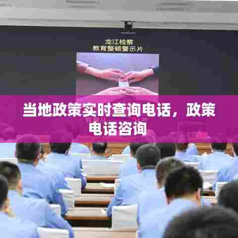 当地政策实时查询电话,政策电话咨询