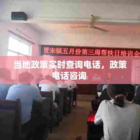 当地政策实时查询电话,政策电话咨询