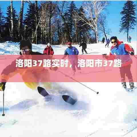 购物指南 第432页