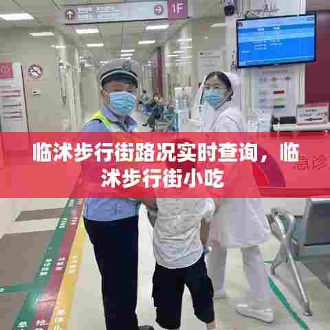 临沭步行街路况实时查询,临沭步行街小吃