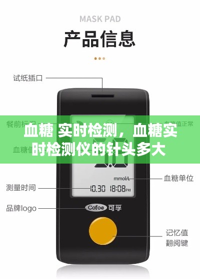 血糖 实时检测,血糖实时检测仪的针头多大
