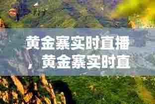 张狂妄行 第6页