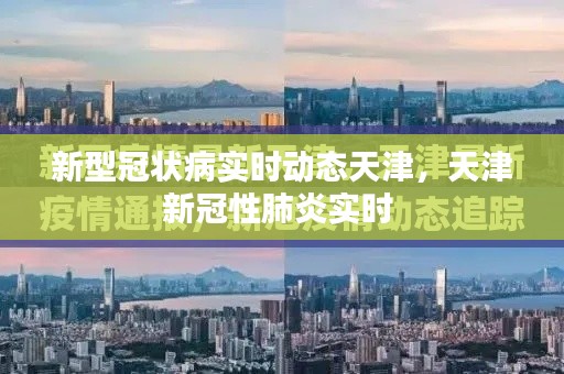 新型冠状病实时动态天津,天津新冠性肺炎实时