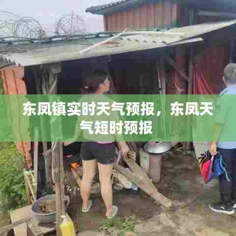 东凤镇实时天气预报,东凤天气短时预报