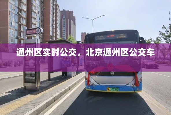 通州区实时公交，北京通州区公交车 