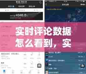 实时评论数据怎么看到，实时评论家 
