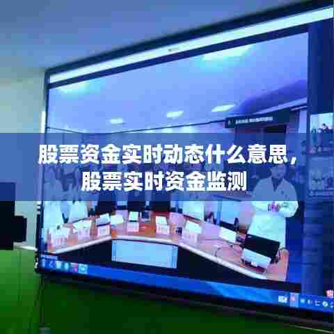 股票资金实时动态什么意思,股票实时资金监测