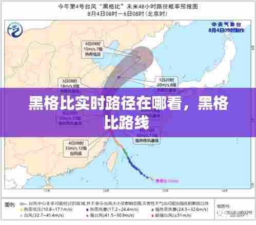 黑格比实时路径在哪看,黑格比路线