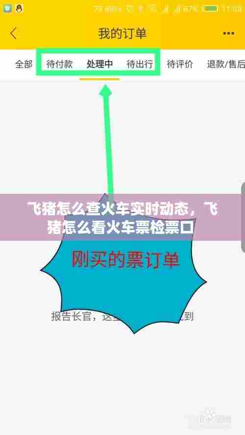 飞猪怎么查火车实时动态,飞猪怎么看火车票检票口
