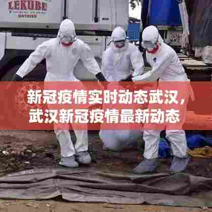 新冠疫情实时动态武汉,武汉新冠疫情最新动态