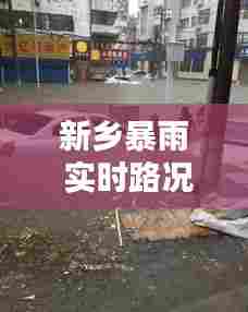 新乡暴雨 实时路况,新乡暴雨现况