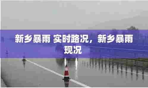 新乡暴雨 实时路况,新乡暴雨现况