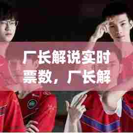 厂长解说实时票数,厂长解说rng