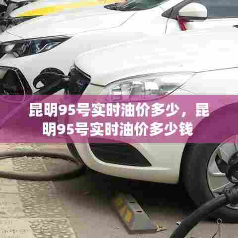 昆明95号实时油价多少,昆明95号实时油价多少钱