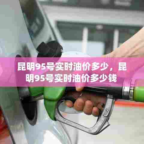 昆明95号实时油价多少,昆明95号实时油价多少钱