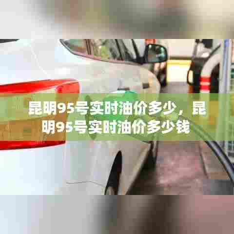 昆明95号实时油价多少,昆明95号实时油价多少钱