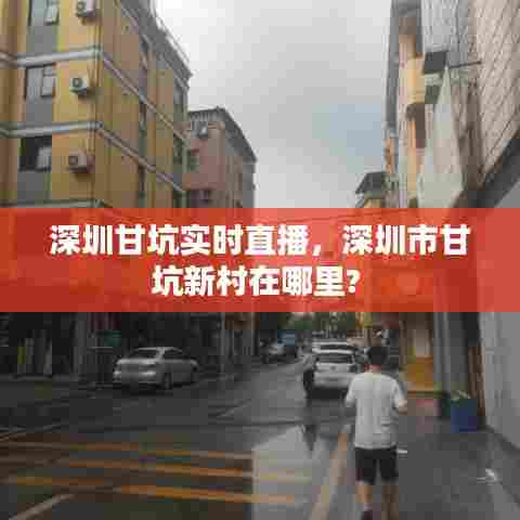 深圳甘坑实时直播,深圳市甘坑新村在哪里?