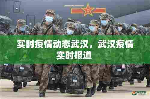 实时疫情动态武汉,武汉疫情实时报道