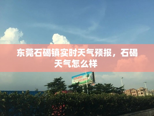 东莞石碣镇实时天气预报,石碣天气怎么样