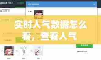 实时人气数据怎么看,查看人气