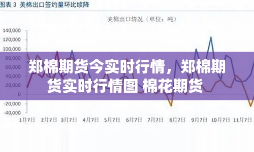 郑棉期货今实时行情，郑棉期货实时行情图 棉花期货 