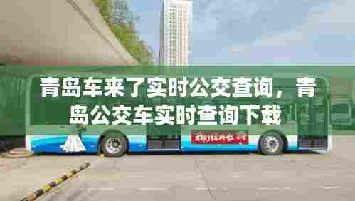 青岛车来了实时公交查询,青岛公交车实时查询下载