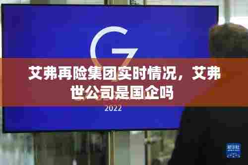 艾弗再险集团实时情况,艾弗世公司是国企吗