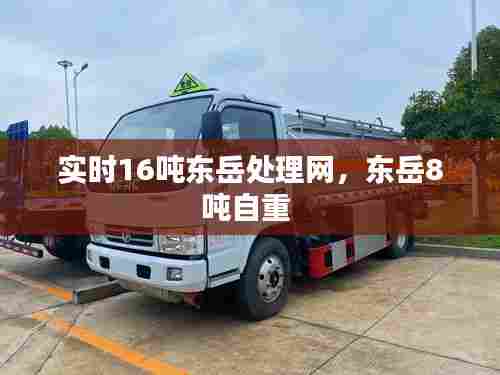 实时16吨东岳处理网,东岳8吨自重