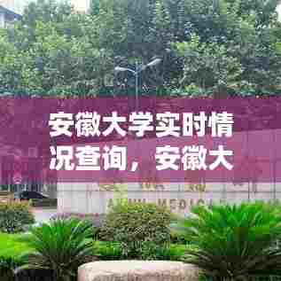 安徽大学实时情况查询，安徽大学官网查询 