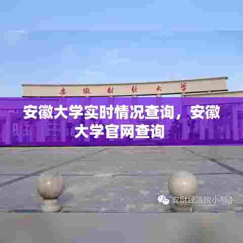 安徽大学实时情况查询,安徽大学官网查询