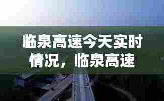 临泉高速今天实时情况,临泉高速最新消息