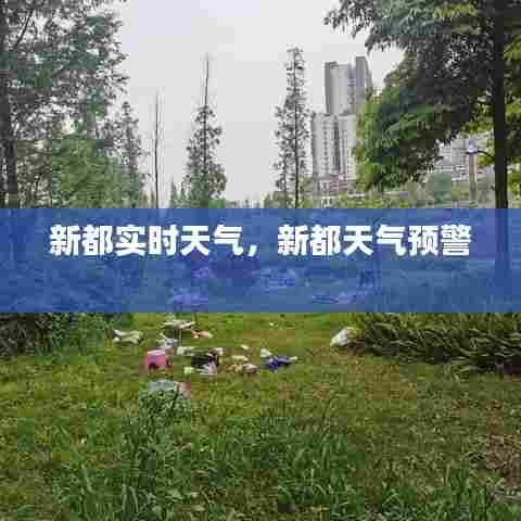 新都实时天气,新都天气预警