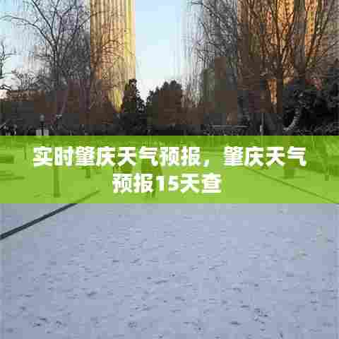 实时肇庆天气预报,肇庆天气预报15天查